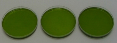 metox2.jpg (19327 Byte)