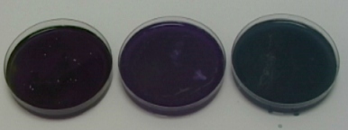 metox3.jpg (19629 Byte)