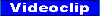 video.gif (284 Byte)